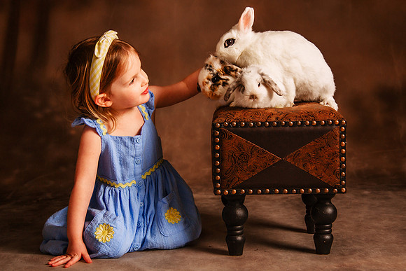 Bunny 2026-35