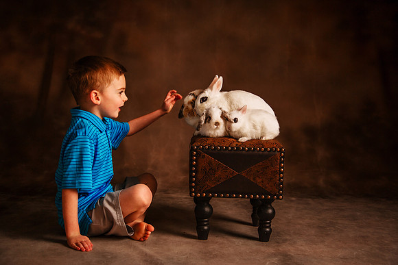 Bunny 2026-37