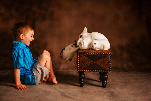 Bunny 2026-40
