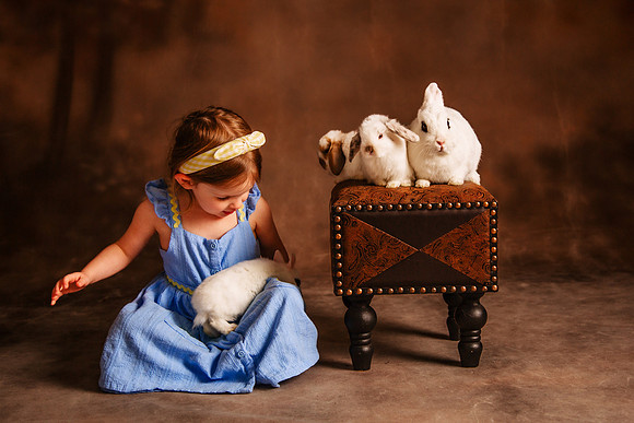 Bunny 2026-49