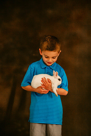 Bunny 2026-50