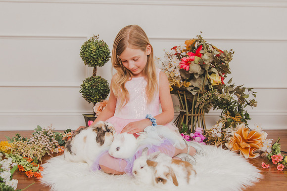 Bunny 2026-2