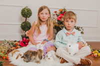 Bunny 2026-16