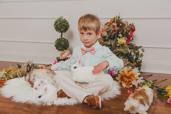 Bunny 2026-27