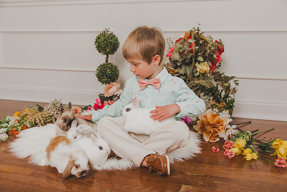 Bunny 2026-26