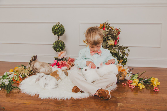 Bunny 2026-31