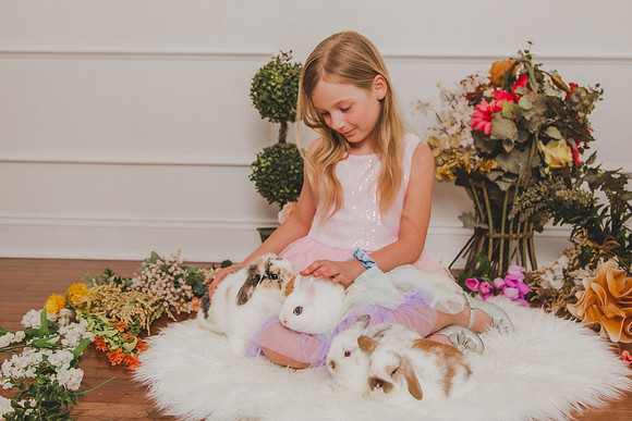 Bunny 2026