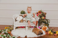 Bunny 2026 Edit-19