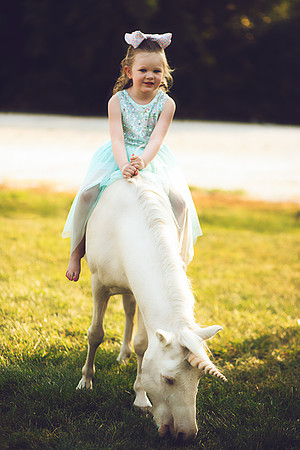 Unicorn-26