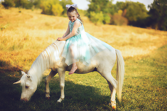 Unicorn-27