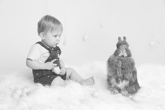 Toby-Bunny-2016-51