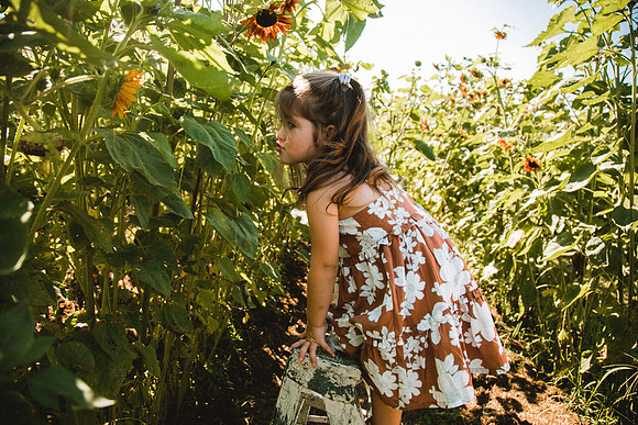 Sunflowers-29