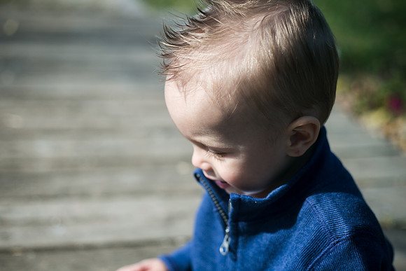 Nash 1yr-41