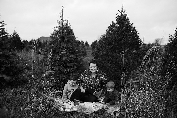 xTree Farm 2020-139