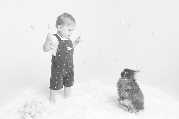Toby-Bunny-2016-40