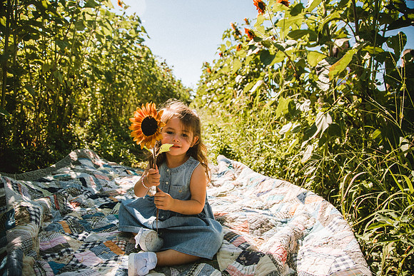 Sunflowers-50