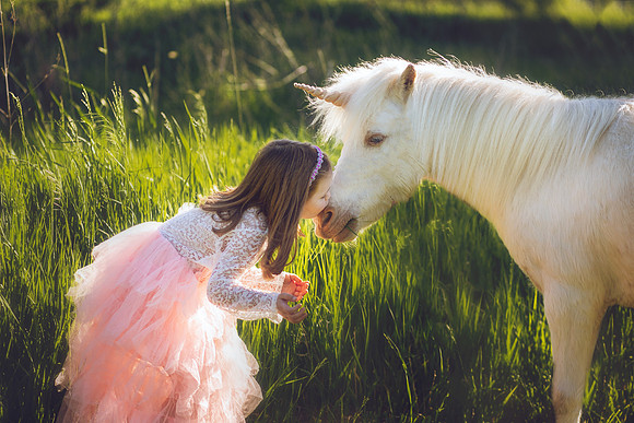 Unicorn-33