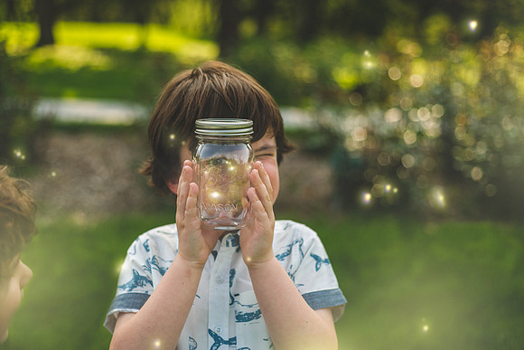 Fireflies 2019-47