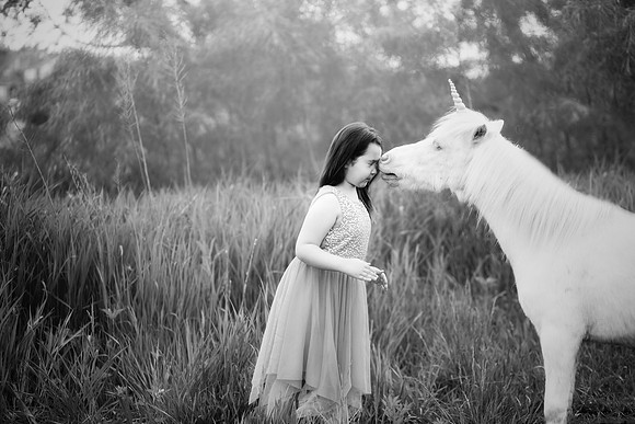 xUnicorn 2019-17