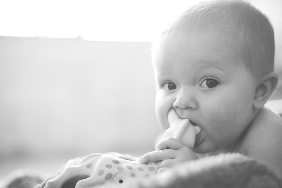 Sawyer 6mth-223