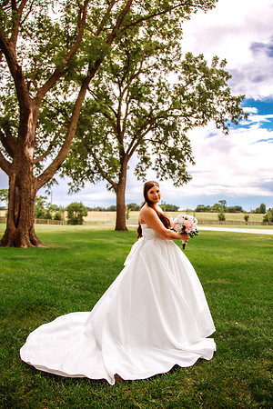 Wedding-487