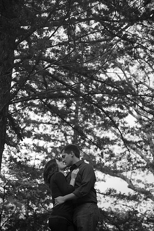 Darcy + Alex  Engage-381