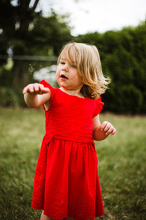 Ollie 2yr-247