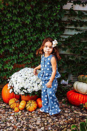 Fall 2026-42