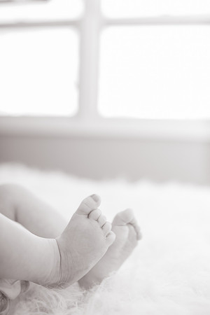 xWilliam 4mth-5