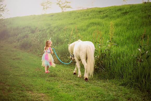 Aurora Unicorn-18