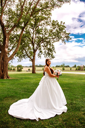 Wedding-486