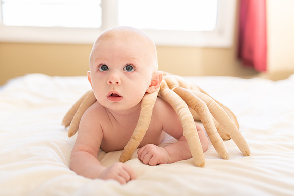 William 4mth-27