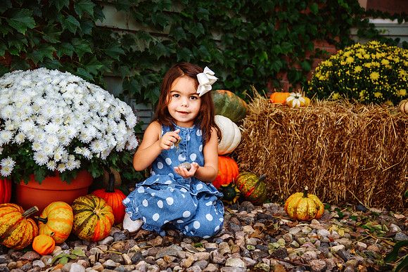 Fall 2026-46
