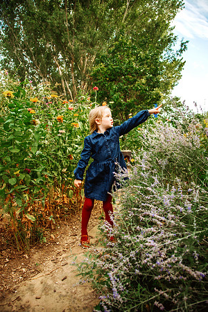 Fall 2026-73