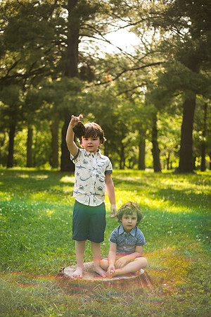 Fireflies 2019-66