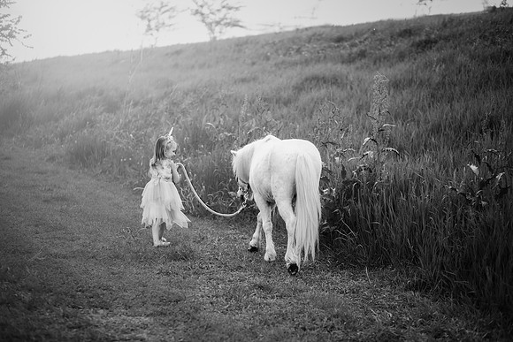 xAurora Unicorn-18