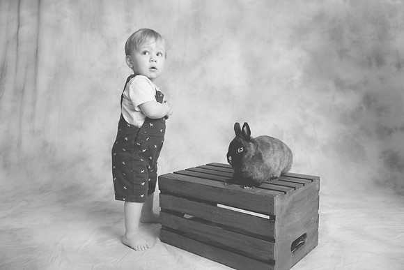 Toby-Bunny-2016-52