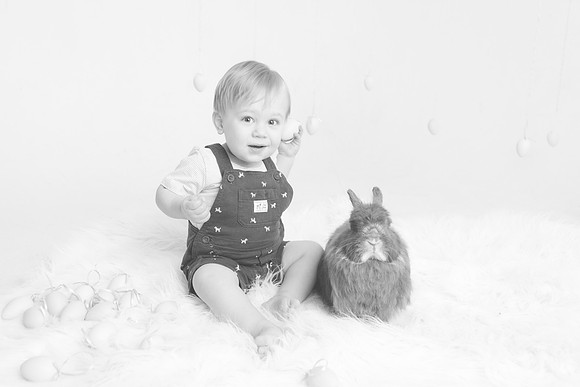Toby-Bunny-2016-42