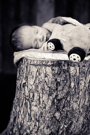 Newborn-51