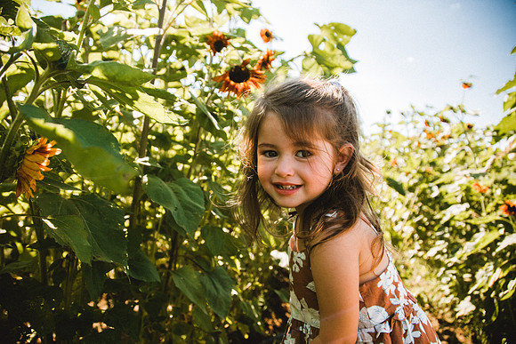 Sunflowers-37