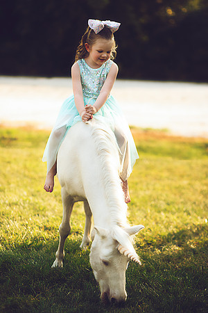 Unicorn-25