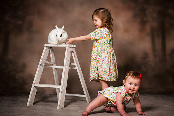 Bunnies 2019-59