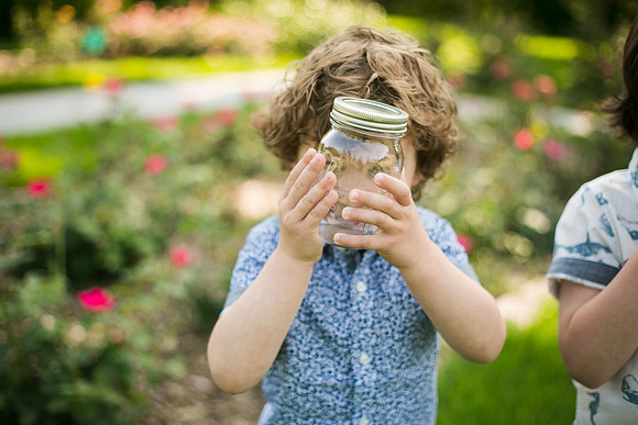 Fireflies 2019-49