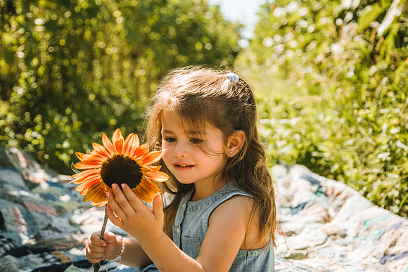 Sunflowers-44