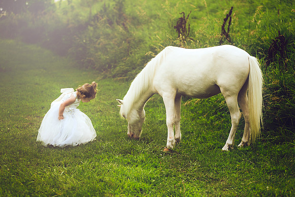 Unicorn