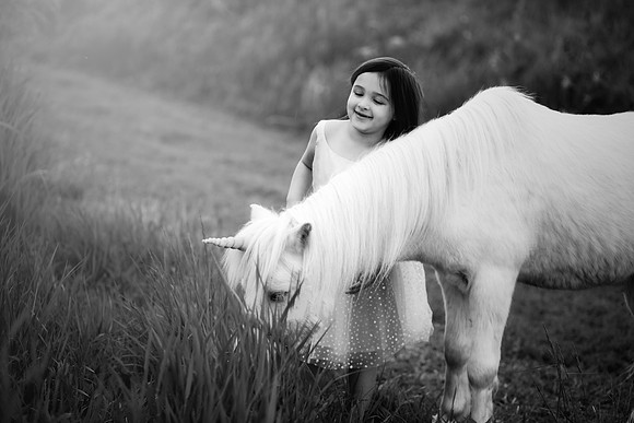 xUnicorn 2019-21