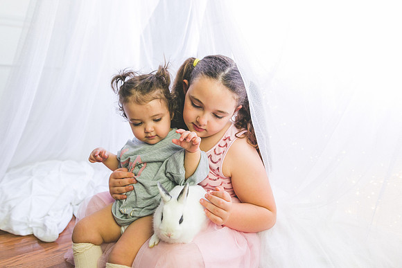 Bunnies 2019-34