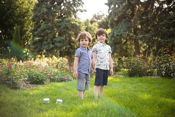 Fireflies 2019-25