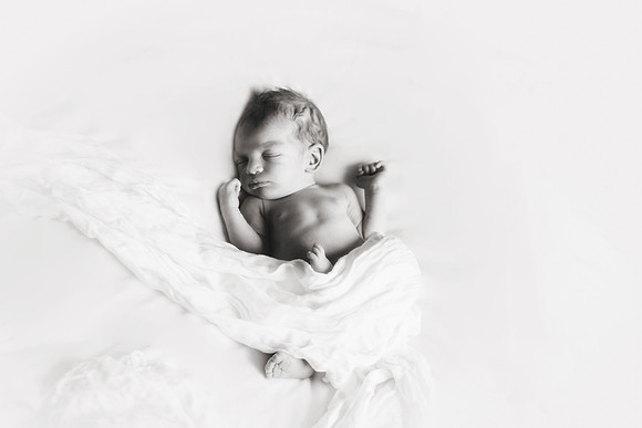 Sebastian NB-26bw