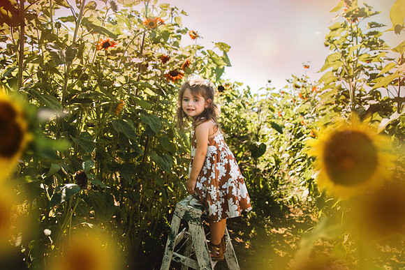 Sunflowers-34